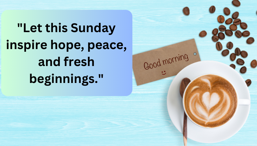 Good morning Sunday quotes
Inspirational Sunday quotes
Sunday morning motivational quotes
Positive Sunday quotes
Uplifting Sunday quotes
